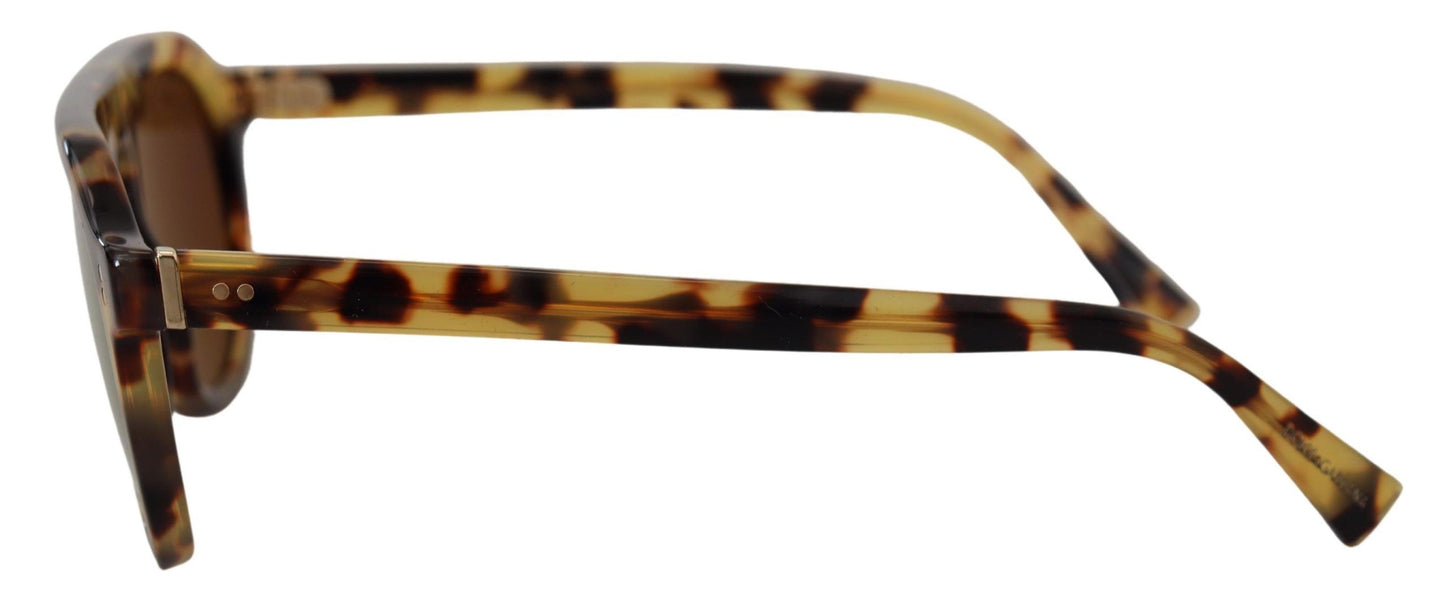 Dolce & Gabbana Schicke Schildpatt-Sonnenbrille aus Acetat